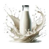 Milk